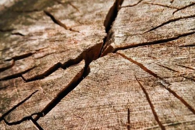 木材的节子、裂纹、虫害该怎么有效防范和处理？