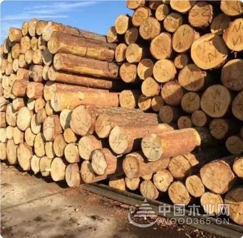 预计2019年全球软木需求将达到3.5亿立方米