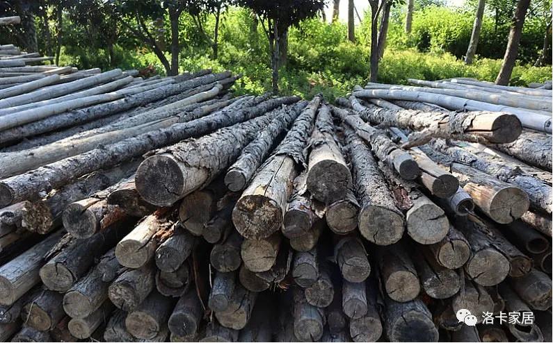洛卡家居 | 木材价格上涨188%创历史新高！你做好准备了吗？