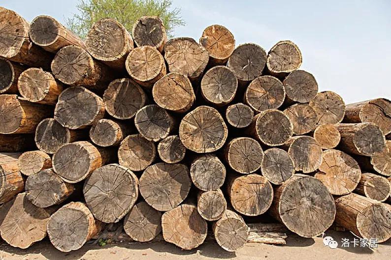 洛卡家居 | 木材价格上涨188%创历史新高！你做好准备了吗？