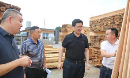 四川雅安雨城区委副书记调研林竹业重点工作
