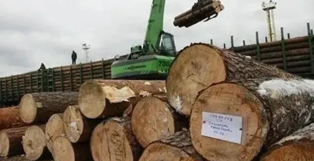 如何应对俄罗斯木材出口关税调整？