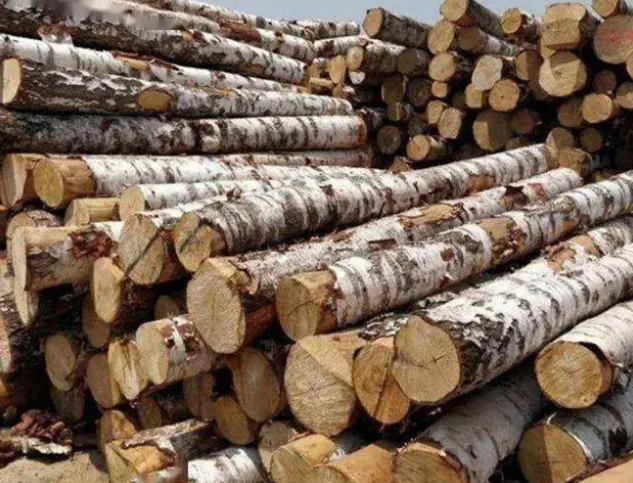 如何应对俄罗斯木材出口关税调整？