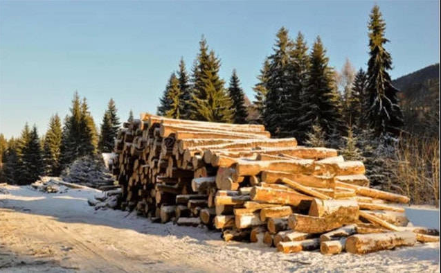 整木定制原木材料是哪里来的？用的是哪国的木头？ 