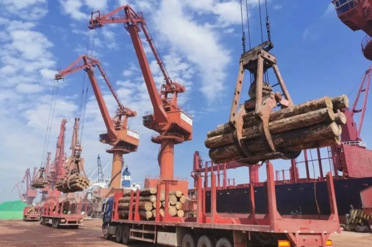 山东港口烟台港蓬莱港区木材类货物吞吐量突破百万方