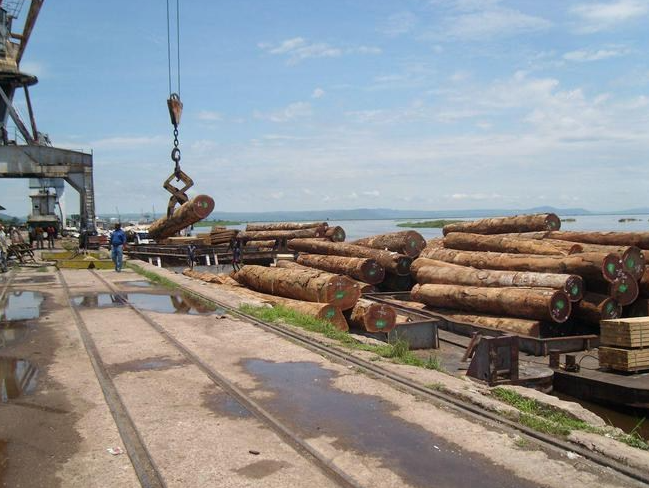 出口加税过重，非洲原木供应商发动罢工