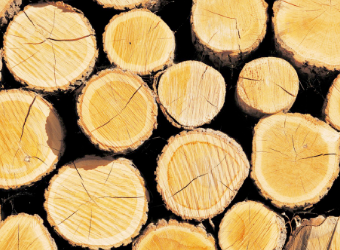俄罗斯知名木材企业：开始将欧洲份额转至埃及