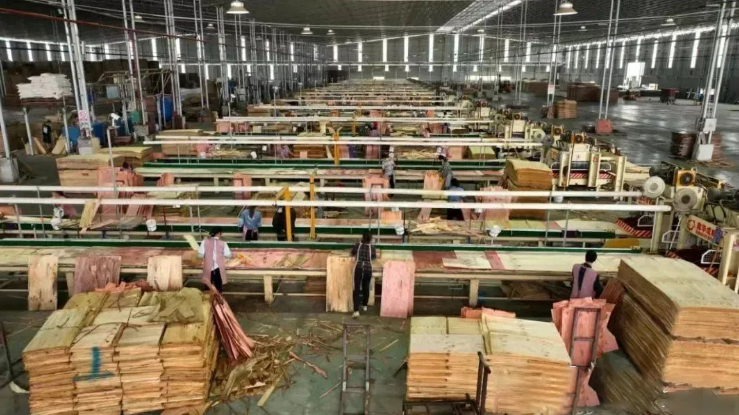 精准招商，补链强链！广西来宾兴宾区推动木材产业聚集链式发展！