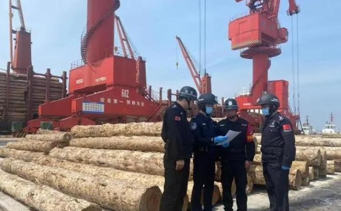 福建莆田全力护航木业产业“新质生产力”