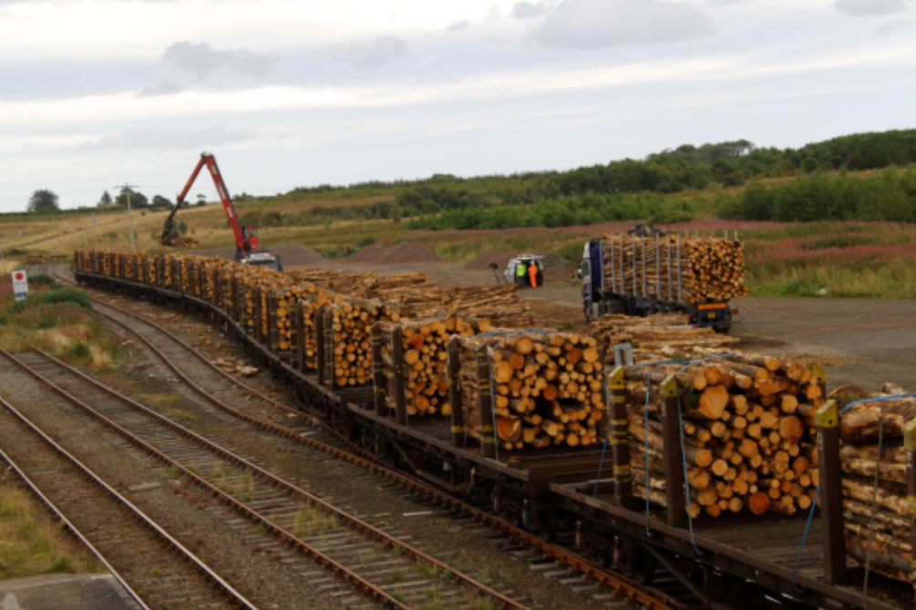 俄罗斯木材行业“回春”，主要市场出口价格上涨，但排除中国