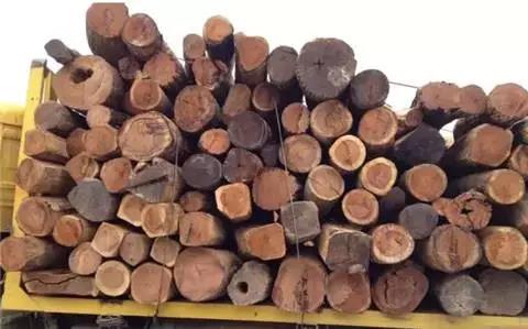 红木“老司机”告诉你这些木材是什么味的！ 